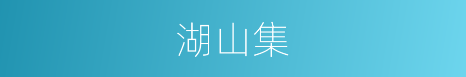 湖山集的同义词