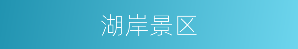 湖岸景区的同义词