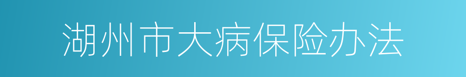 湖州市大病保险办法的同义词