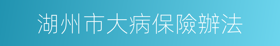 湖州市大病保險辦法的同義詞