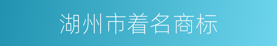 湖州市着名商标的同义词