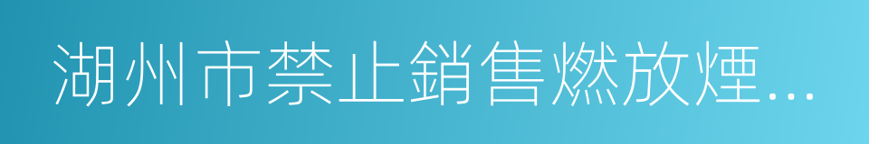 湖州市禁止銷售燃放煙花爆竹規定的同義詞