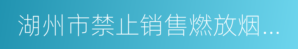 湖州市禁止销售燃放烟花爆竹规定的同义词