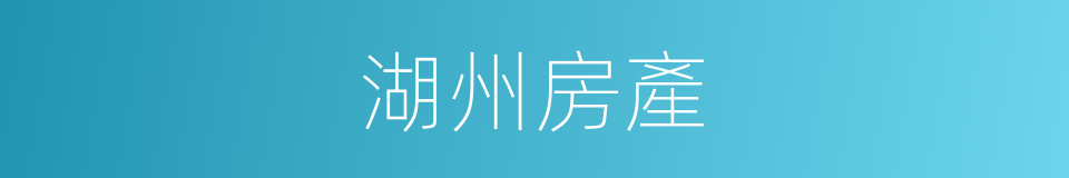 湖州房產的同義詞