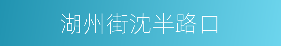 湖州街沈半路口的同义词