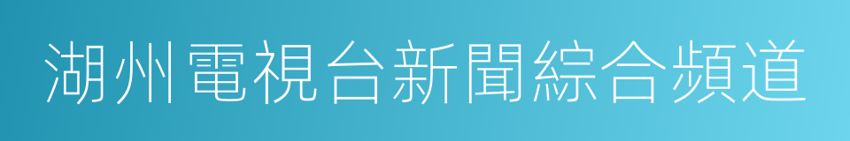 湖州電視台新聞綜合頻道的同義詞