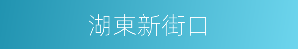 湖東新街口的同義詞