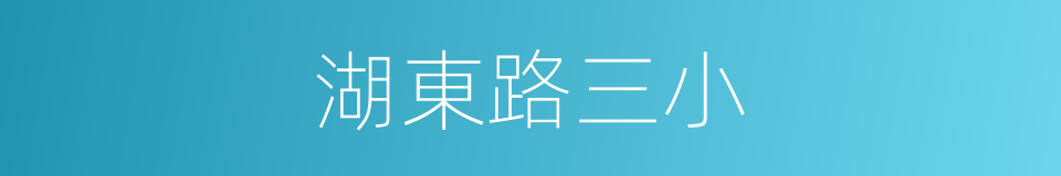 湖東路三小的同義詞