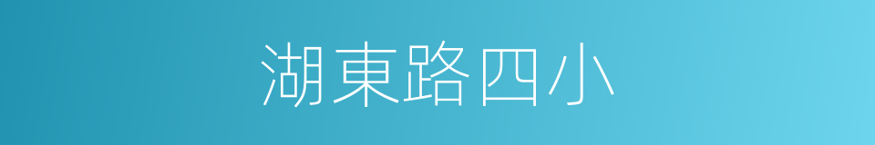 湖東路四小的同義詞
