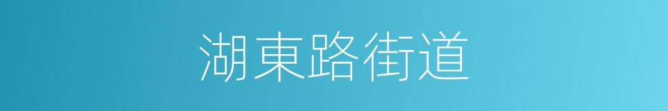 湖東路街道的同義詞