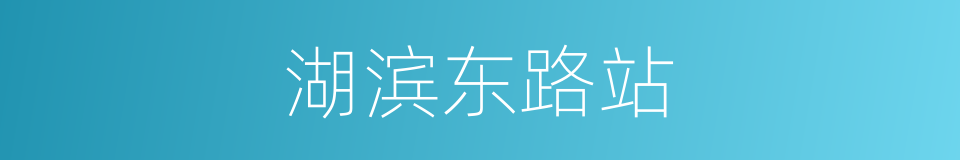 湖滨东路站的同义词