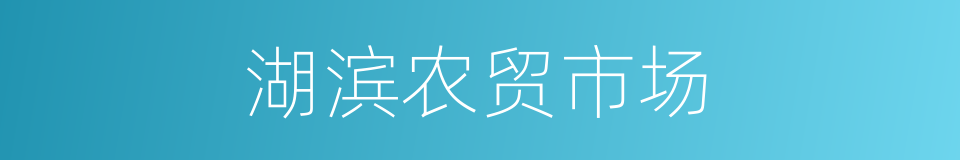 湖滨农贸市场的同义词