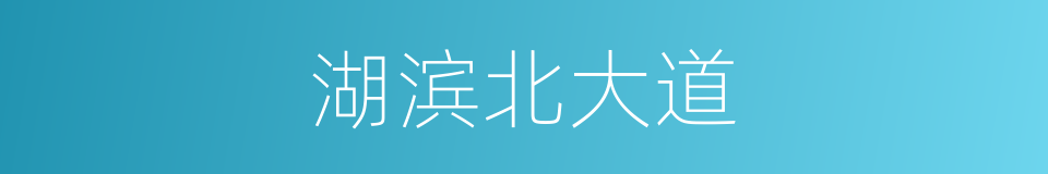 湖滨北大道的同义词