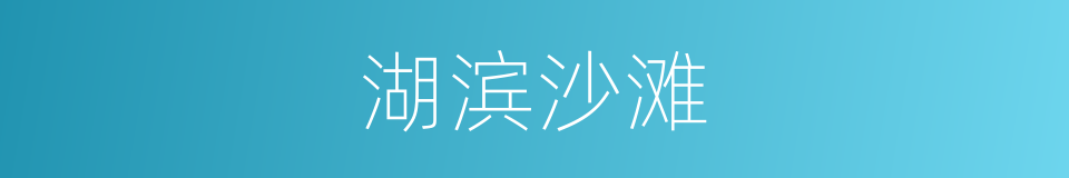 湖滨沙滩的同义词