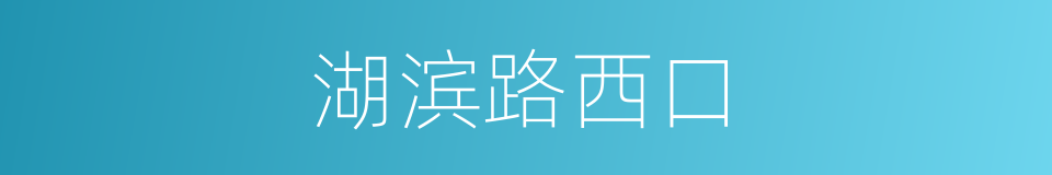湖滨路西口的同义词