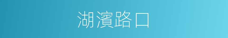 湖濱路口的同義詞