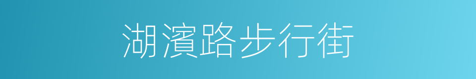 湖濱路步行街的同義詞