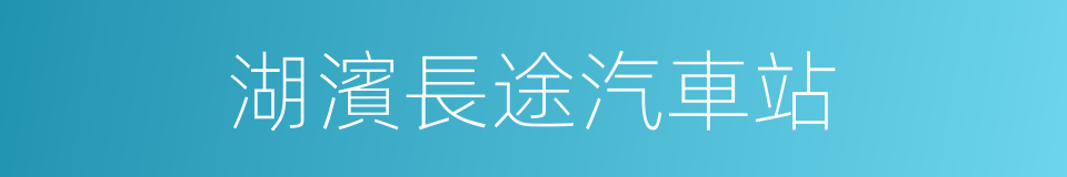 湖濱長途汽車站的同義詞