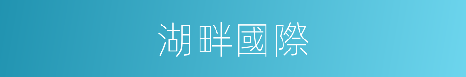 湖畔國際的同義詞