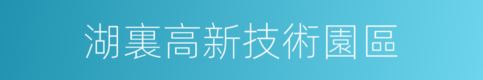 湖裏高新技術園區的同義詞