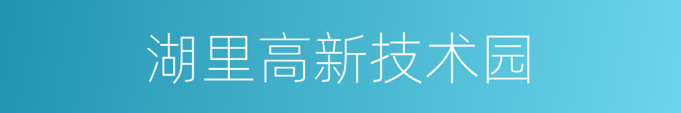 湖里高新技术园的同义词