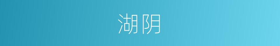 湖阴的意思