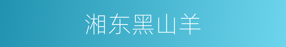 湘东黑山羊的同义词