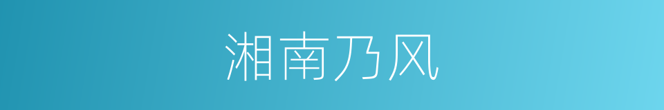 湘南乃风的同义词