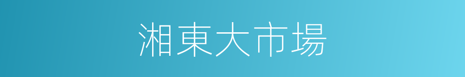 湘東大市場的同義詞