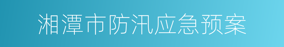 湘潭市防汛应急预案的同义词