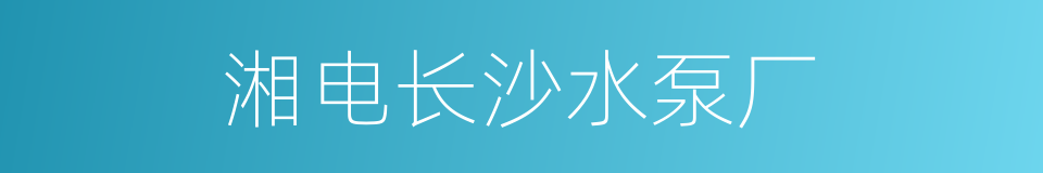 湘电长沙水泵厂的同义词