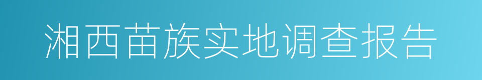 湘西苗族实地调查报告的同义词