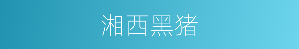 湘西黑猪的同义词