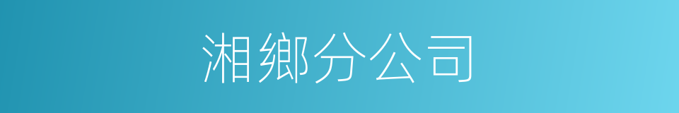 湘鄉分公司的同義詞