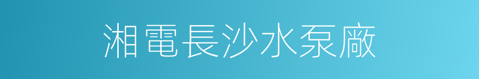 湘電長沙水泵廠的同義詞