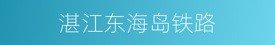 湛江东海岛铁路的同义词