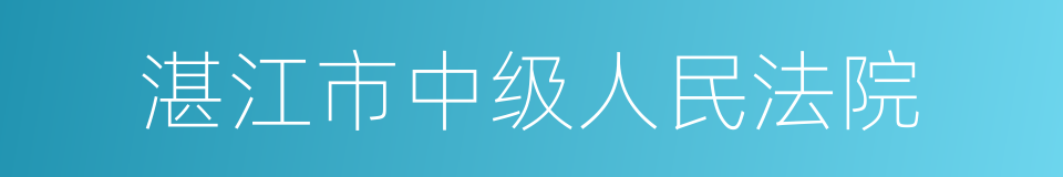 湛江市中级人民法院的同义词