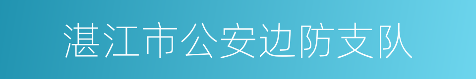 湛江市公安边防支队的同义词