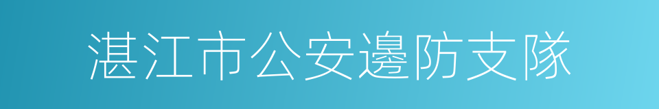 湛江市公安邊防支隊的同義詞