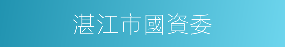 湛江市國資委的同義詞