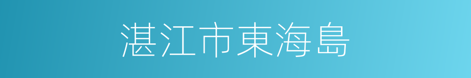 湛江市東海島的同義詞