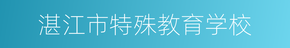 湛江市特殊教育学校的同义词