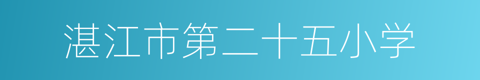 湛江市第二十五小学的同义词