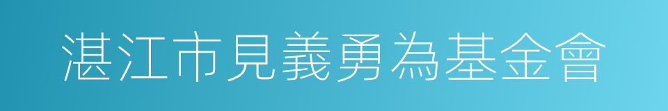 湛江市見義勇為基金會的同義詞