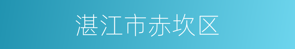 湛江市赤坎区的同义词