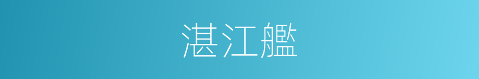 湛江艦的同義詞