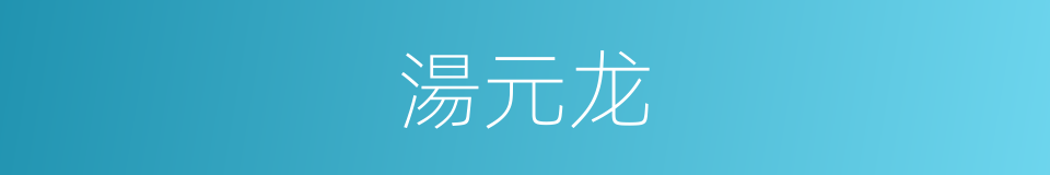 湯元龙的同義詞