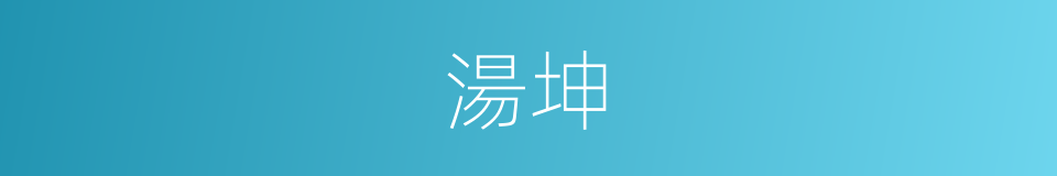 湯坤的同義詞