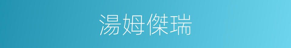 湯姆傑瑞的同義詞