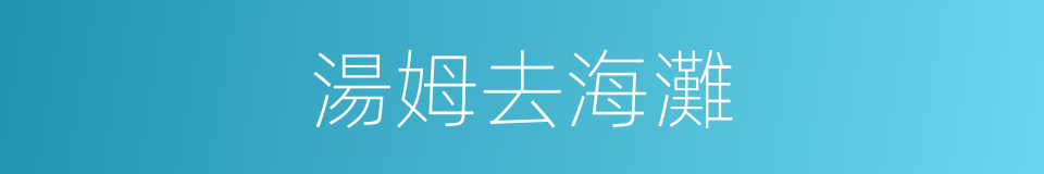湯姆去海灘的同義詞